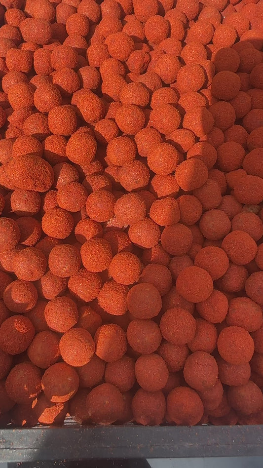 Scopex nut fusion boilies